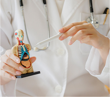 내과 진료 이미지