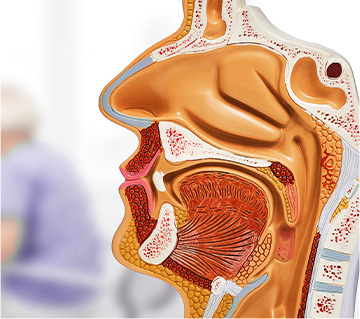 이비인후과 진료 이미지